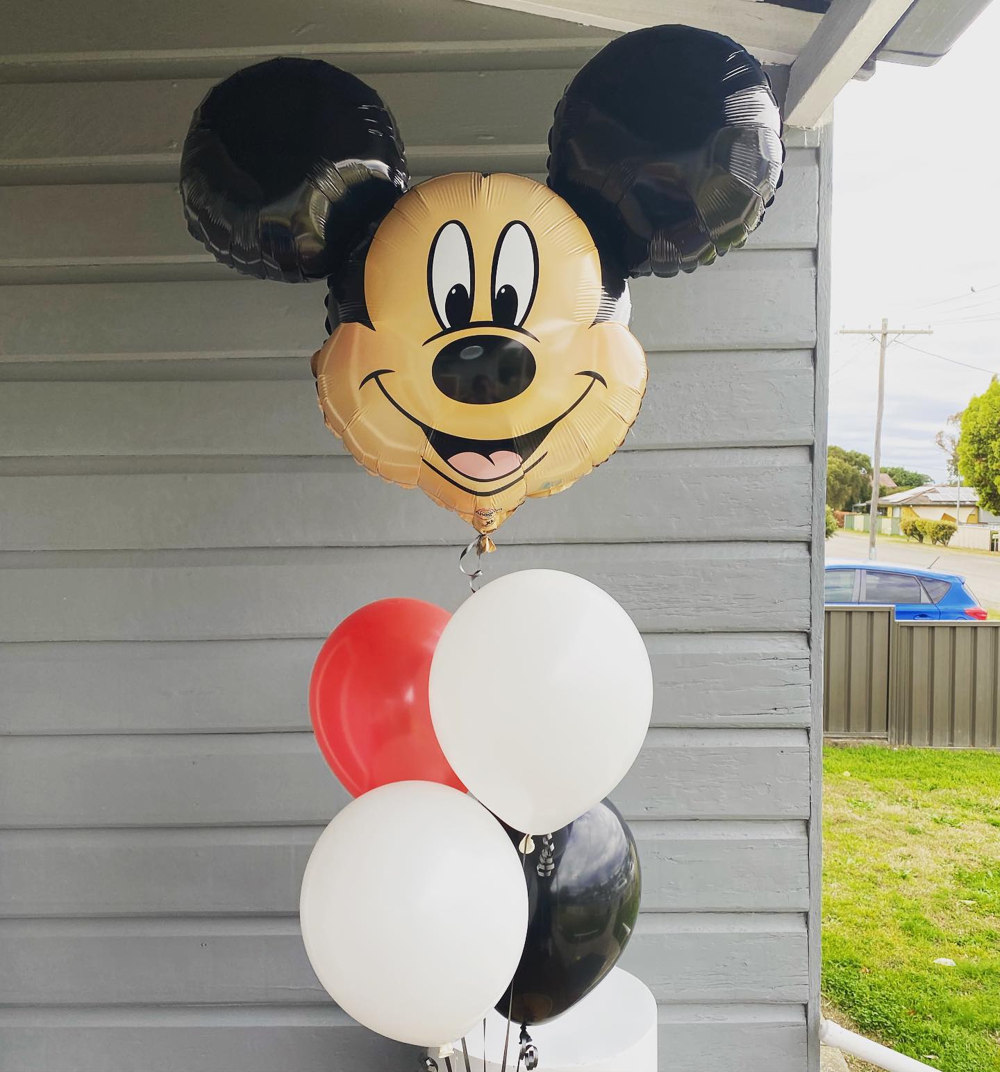 Super shape Character/Animal with balloon bouquet