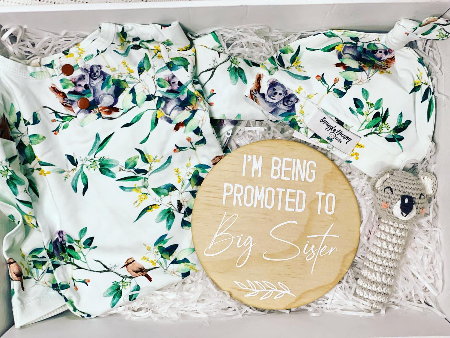 Promoted to Big Brother/Big Sister